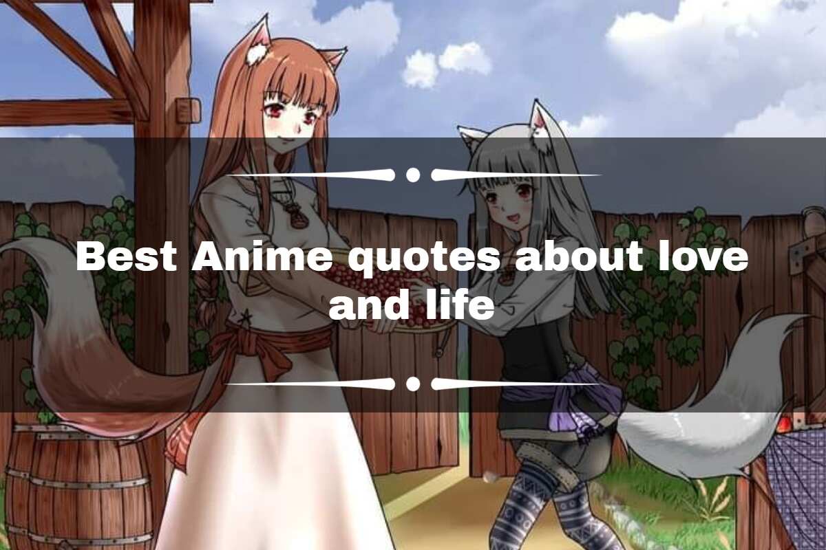 Anime Quote #252 by Anime-Quotes on DeviantArt